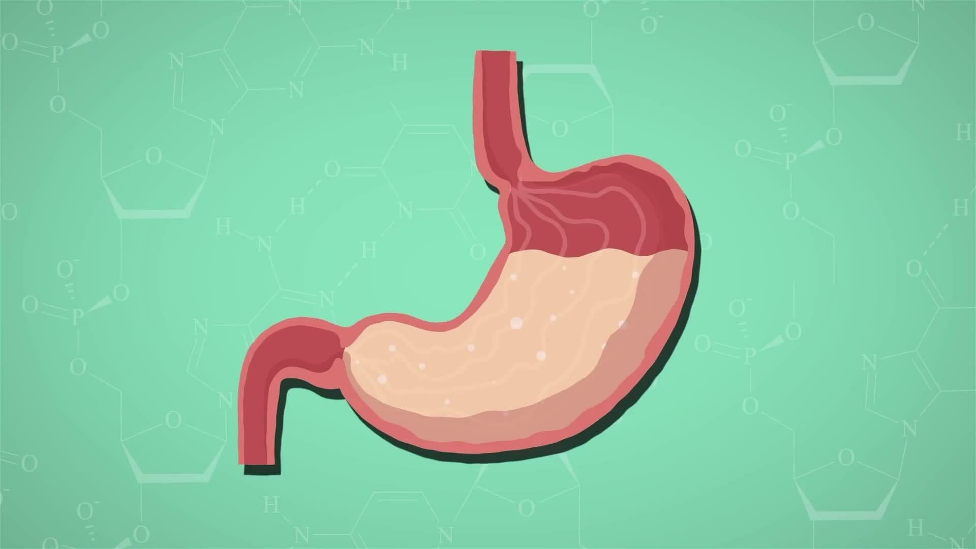 I WONDER - How Are Chemical Reactions Useful?