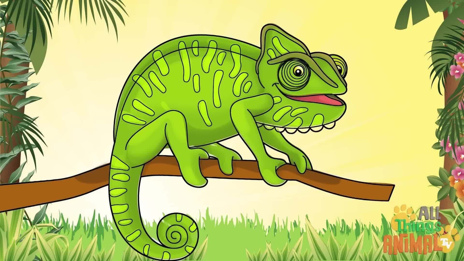 Chameleons: The Coolest Animal Ever