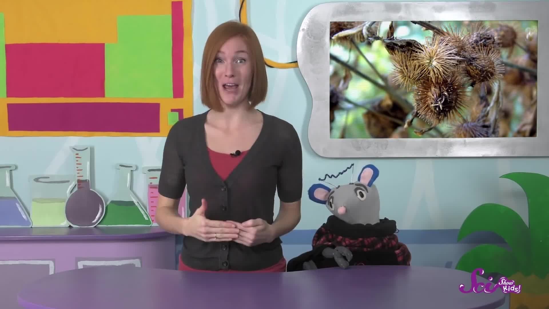 Inventing with Plants!