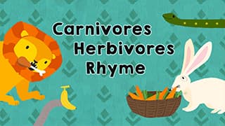 Herbivore vs. Carnivore - Jump into the Animal Kingdom