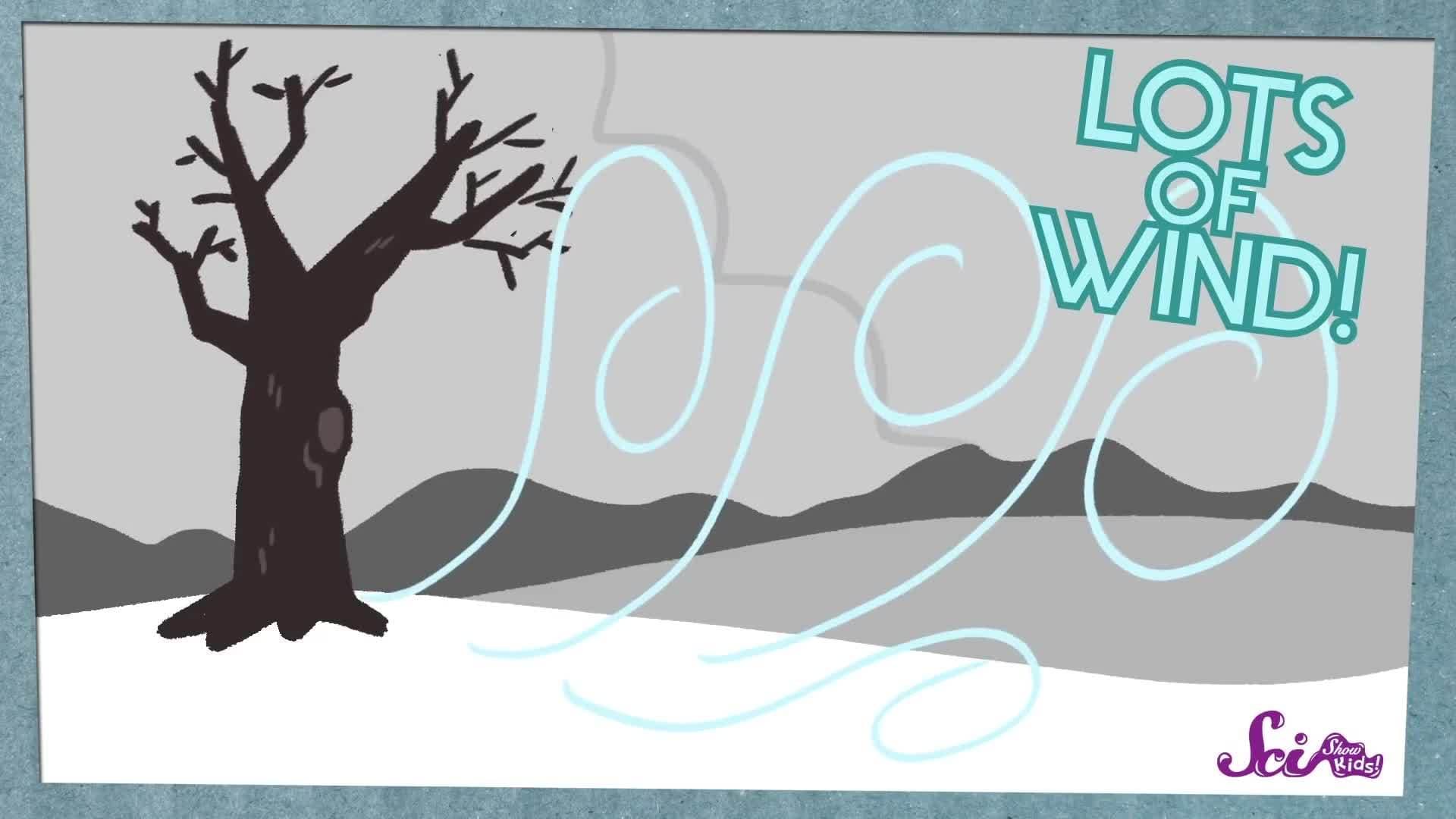 The Biggest Snowstorms!