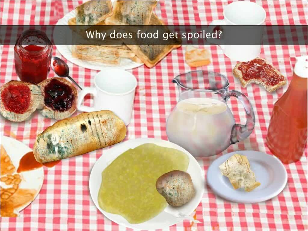 Food Spoilage