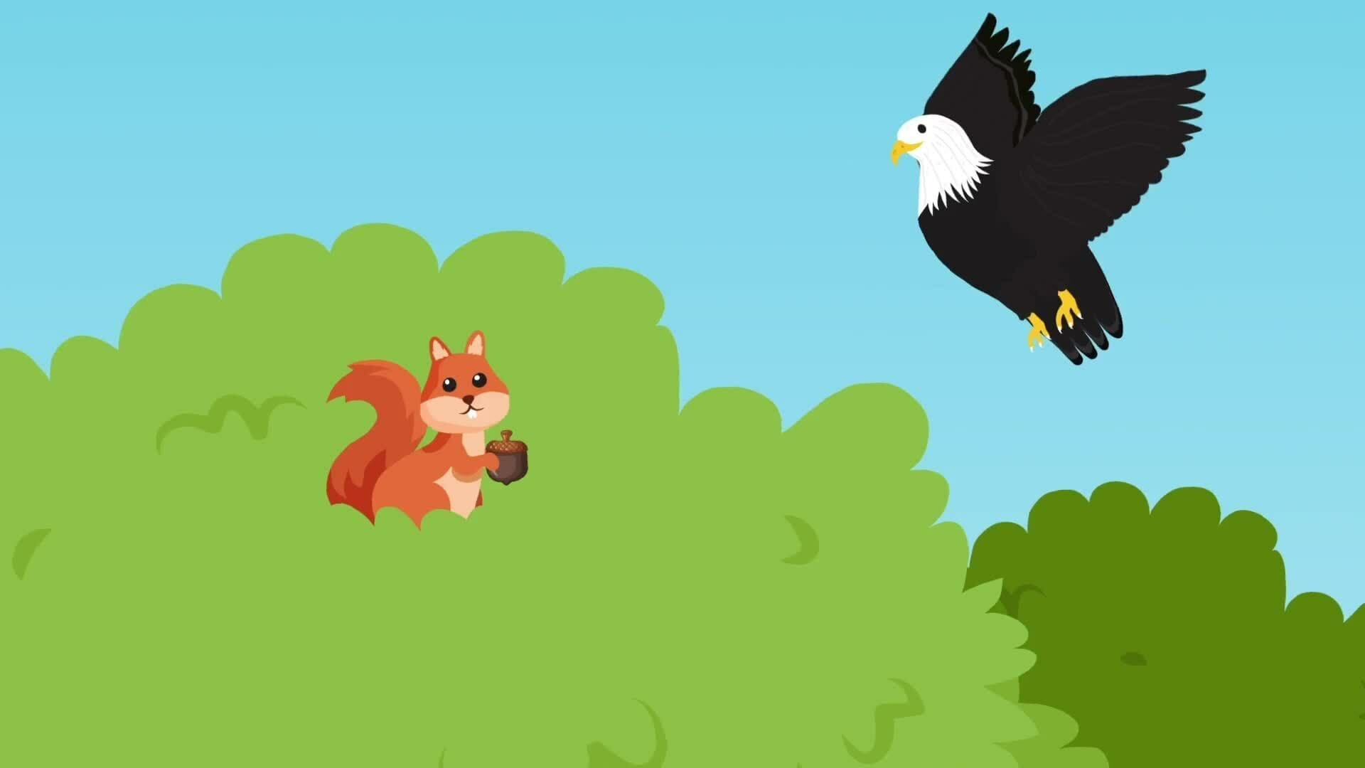 I WONDER - How Do Animal Adaptations Help?