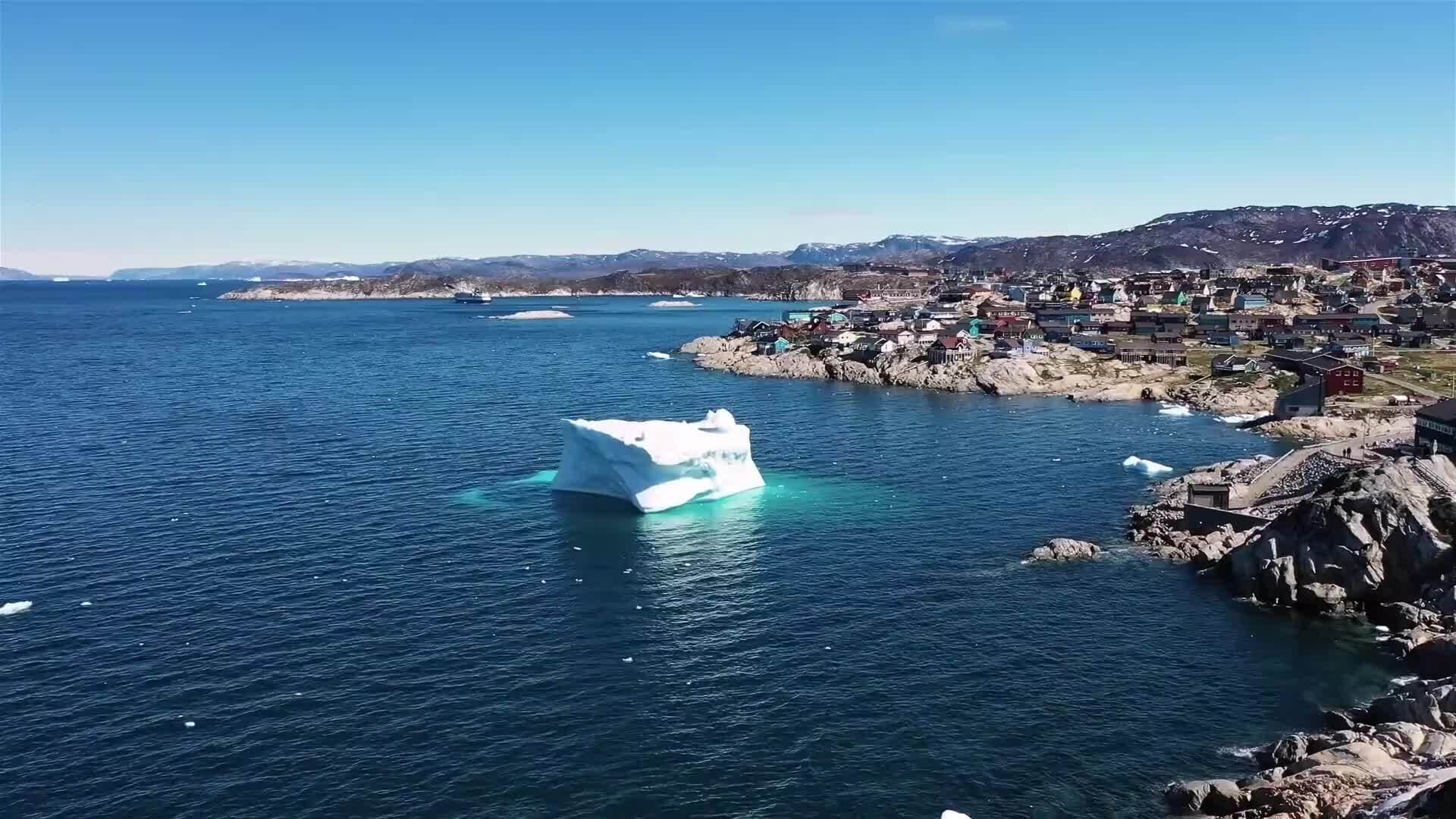 I WONDER - Does Climate Change Affect Endangered Animals?