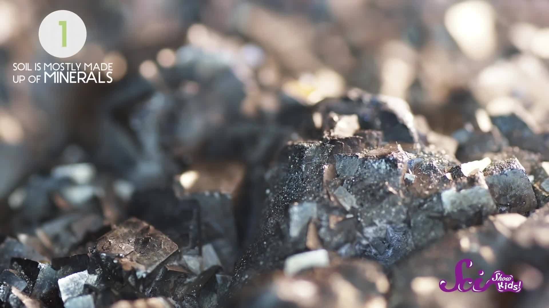 What’s the Dirt on... Dirt?