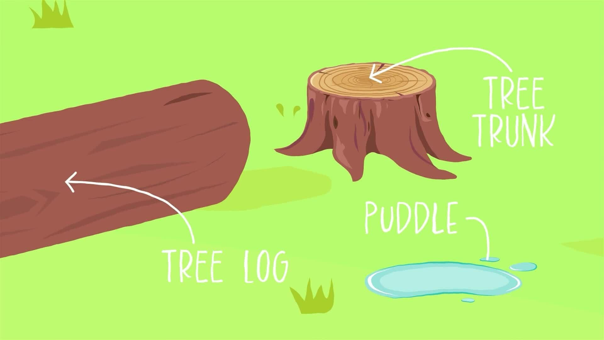 I WONDER - What Is An Ecosystem?