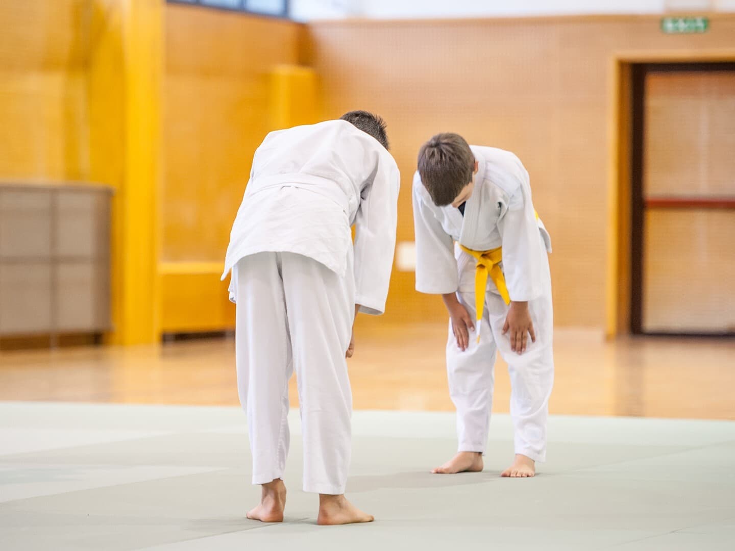 Learning About Justice and Fairness in Outer Space