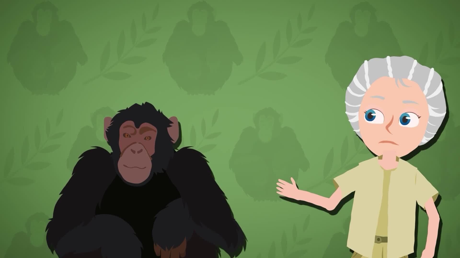 I WONDER - What Does Jane Goodall Do?