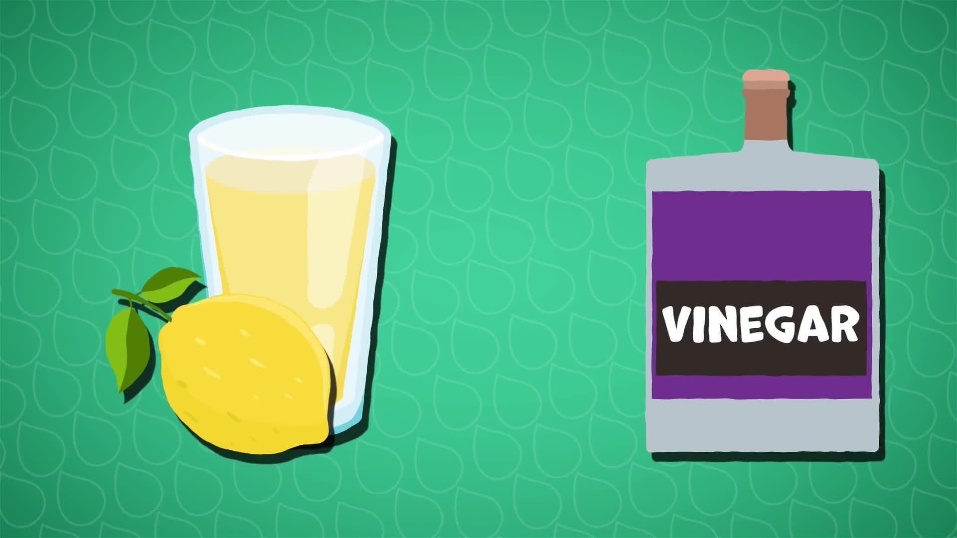 I WONDER - What Is An Acid?