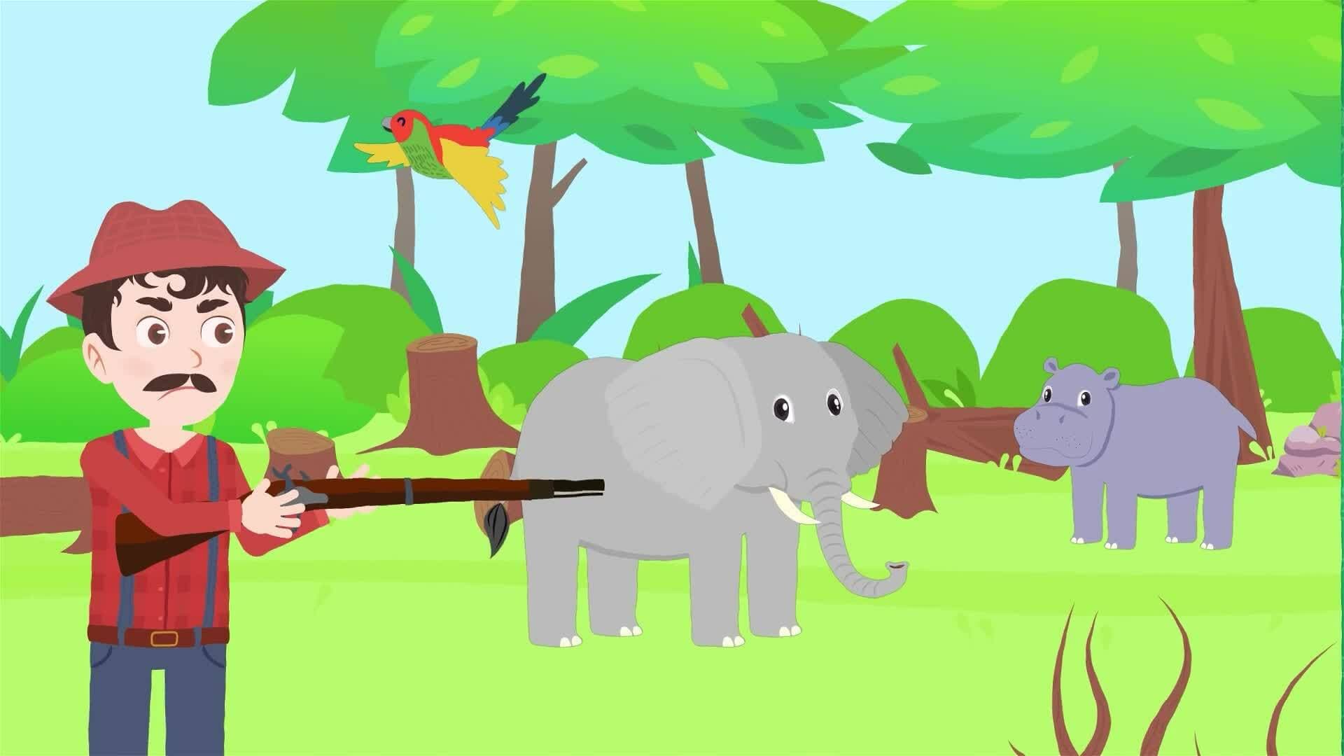 I WONDER - What Is Wildlife Conservation?