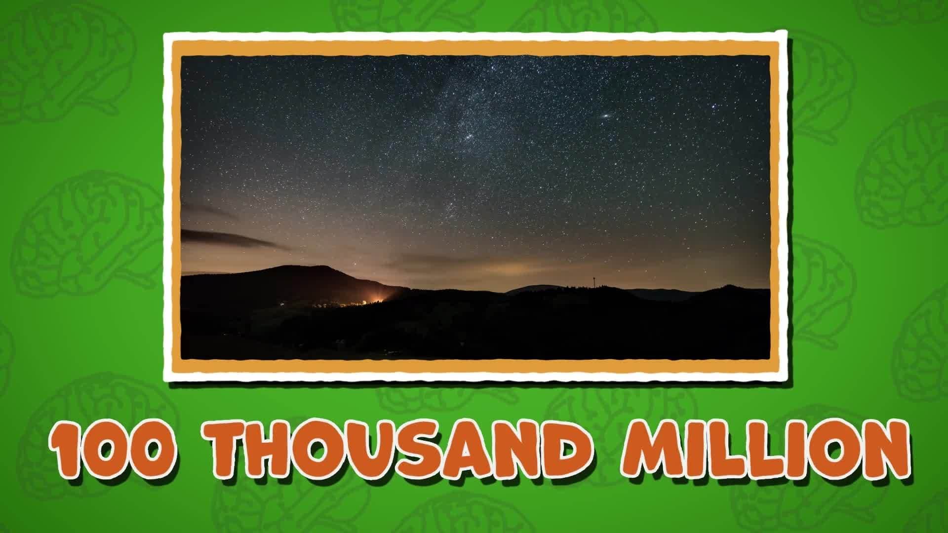 Nervous System Facts