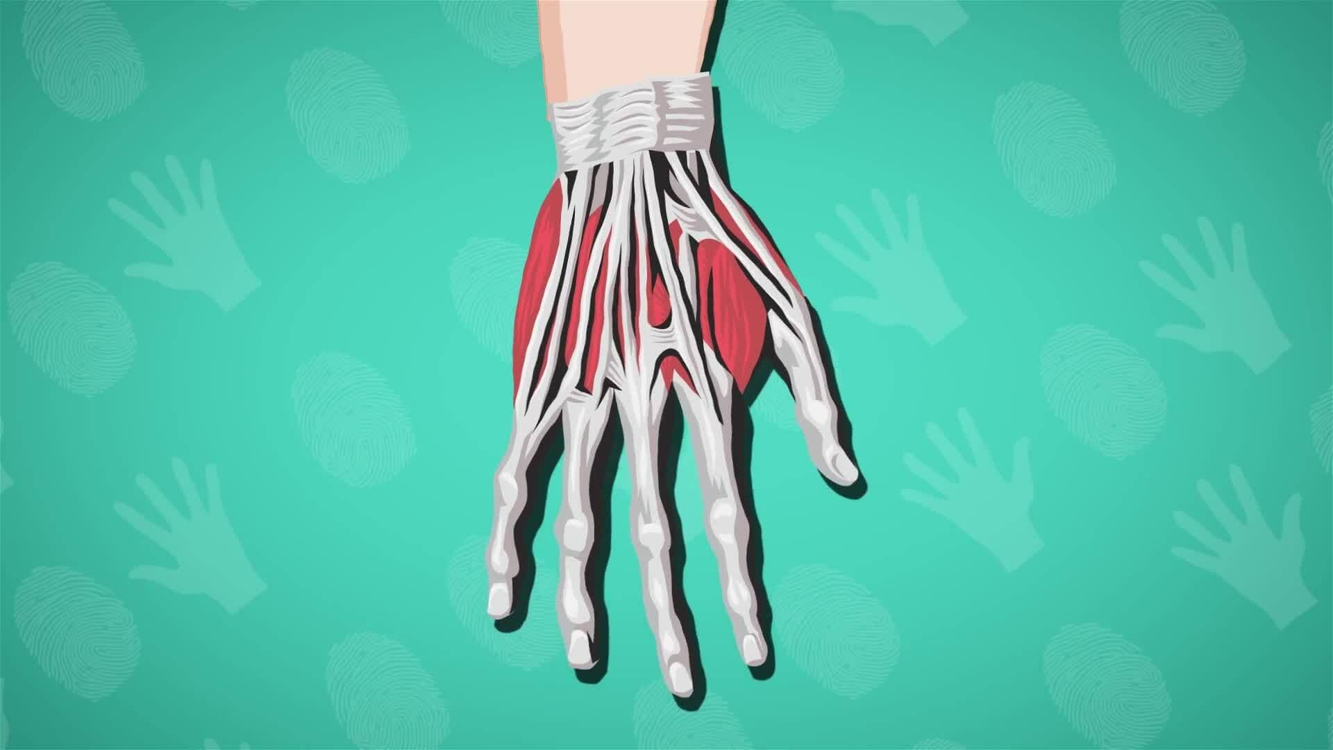 I WONDER - How Do The Fingers Move?