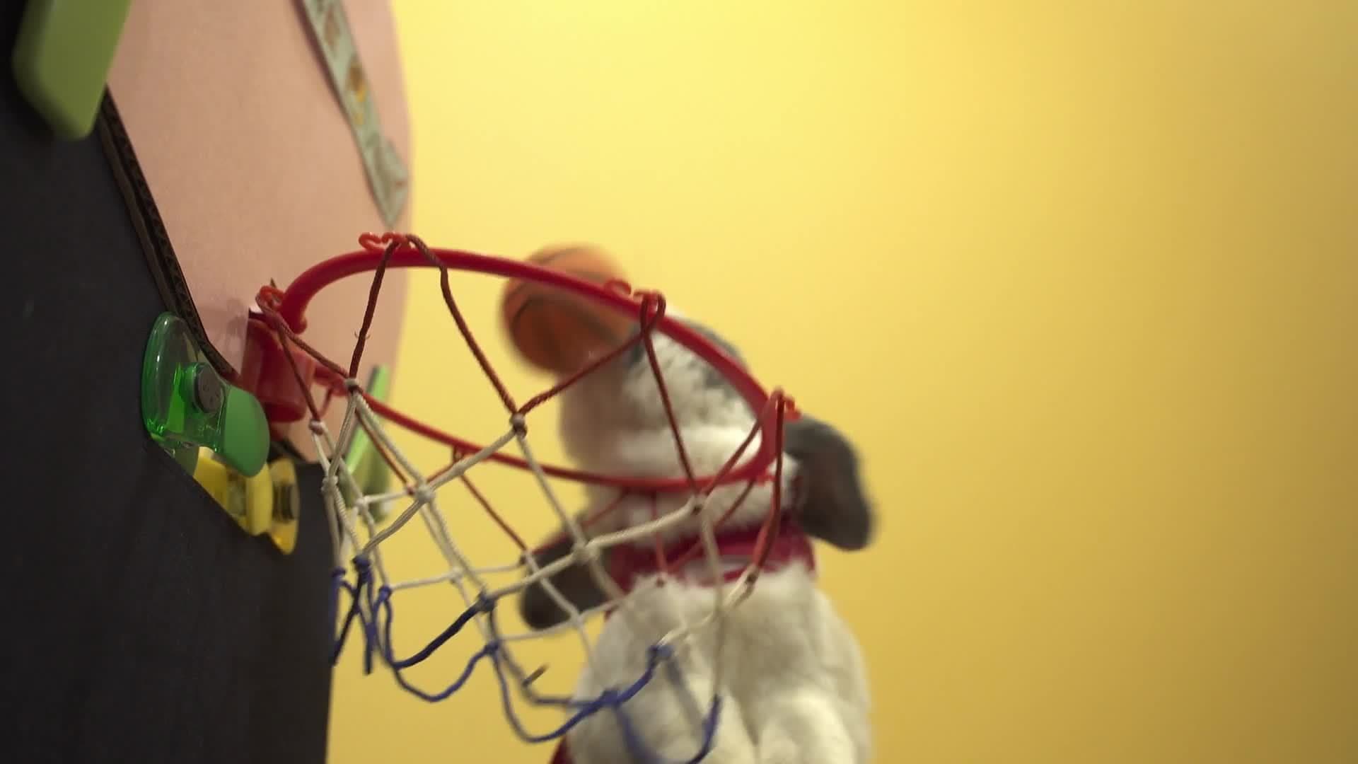 Benny the Bunny: Slam Dunk Superstar!