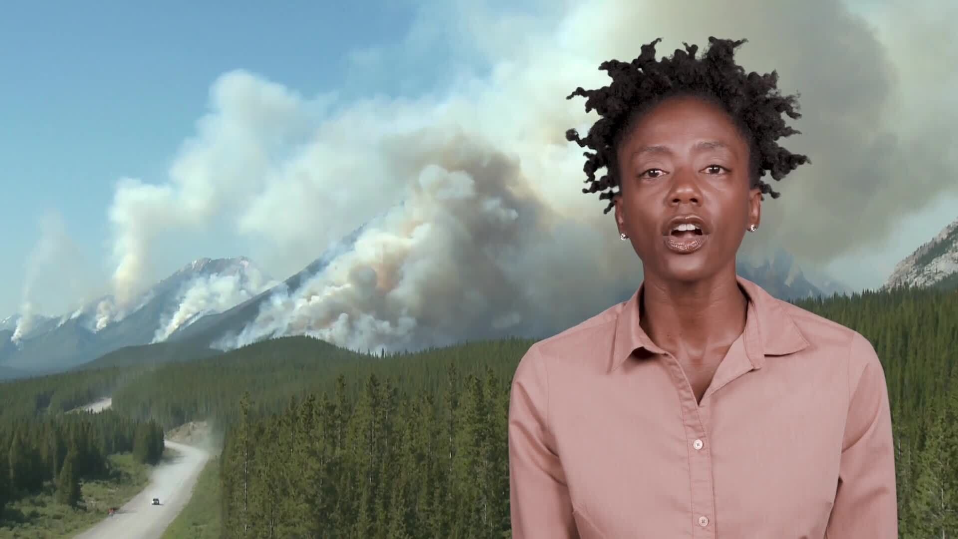 Consequences of Human Activity on Earth