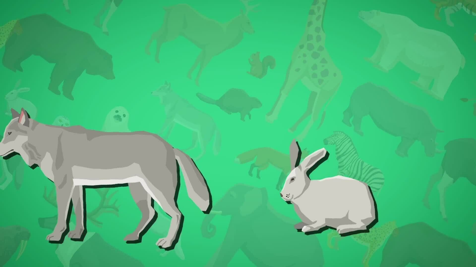 I WONDER - What Is Animal Adaption?