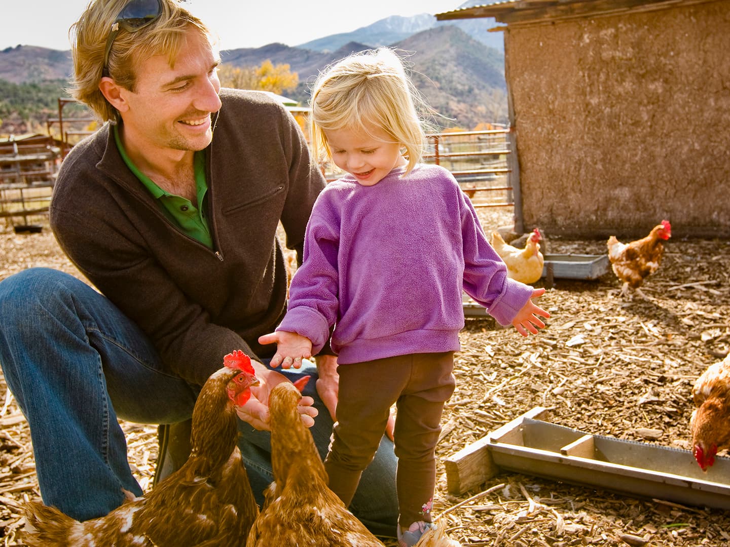 Exploring Compassion