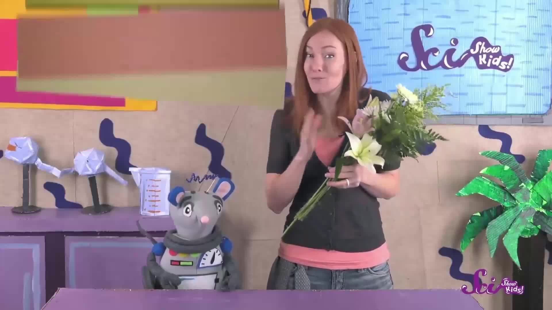 The Wonderful World of Plants! | Compilation