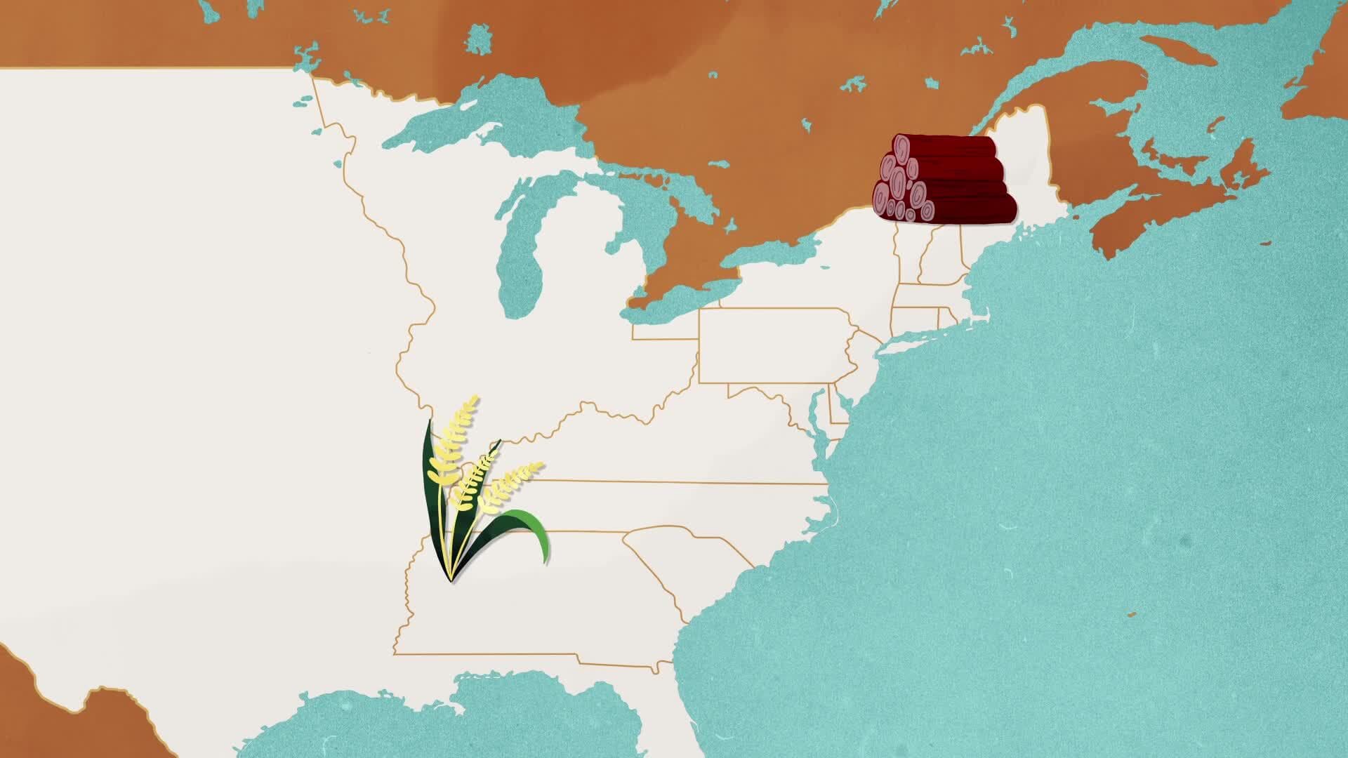 Framers of the Constitution