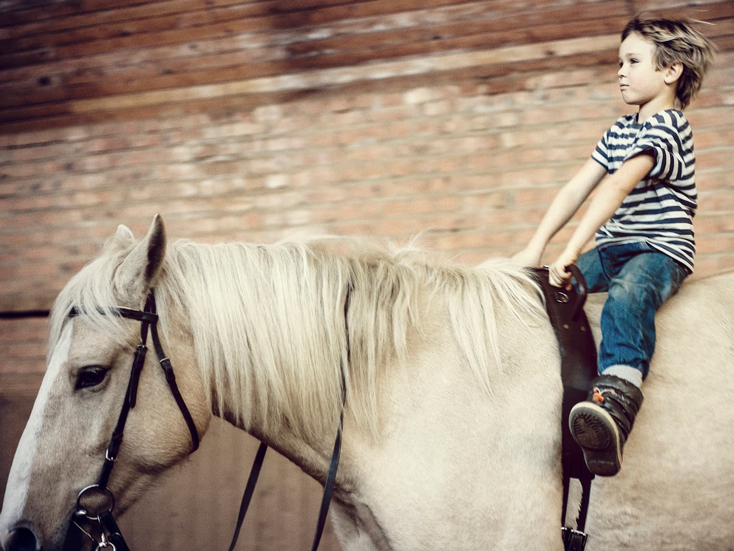 Exploring Politeness