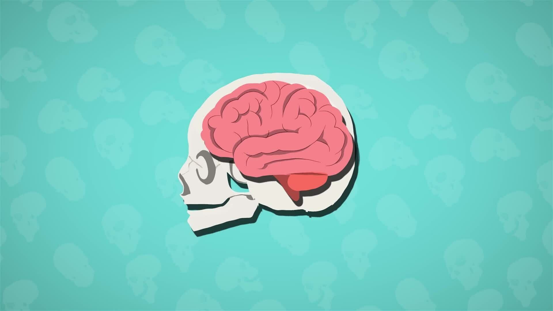 I WONDER - Does The Skull Grow?