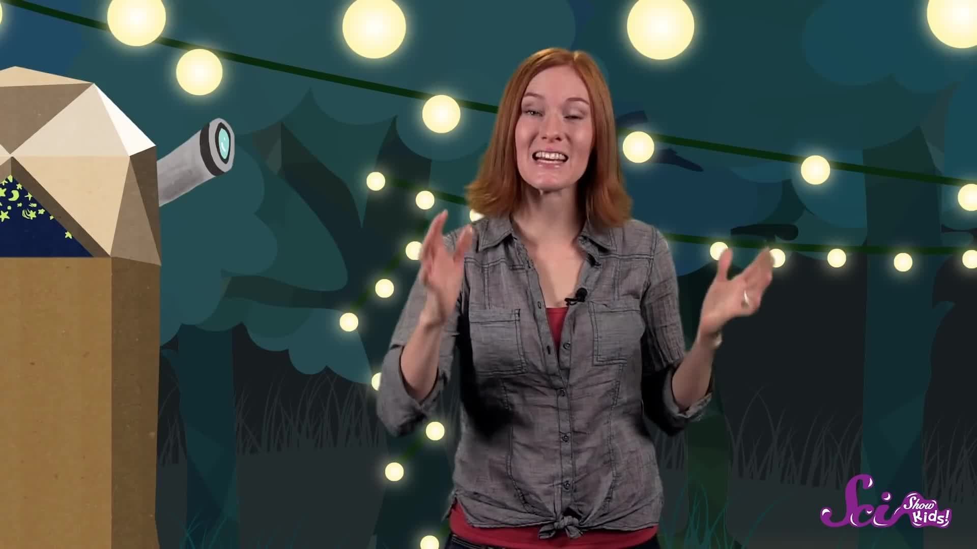 Fireflies: Nature’s Baffling Blinkers Animal | Science for Kids