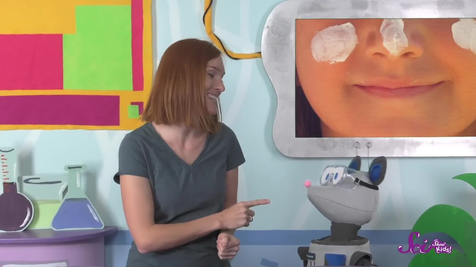 Why Don’t Animals Need Sunscreen?