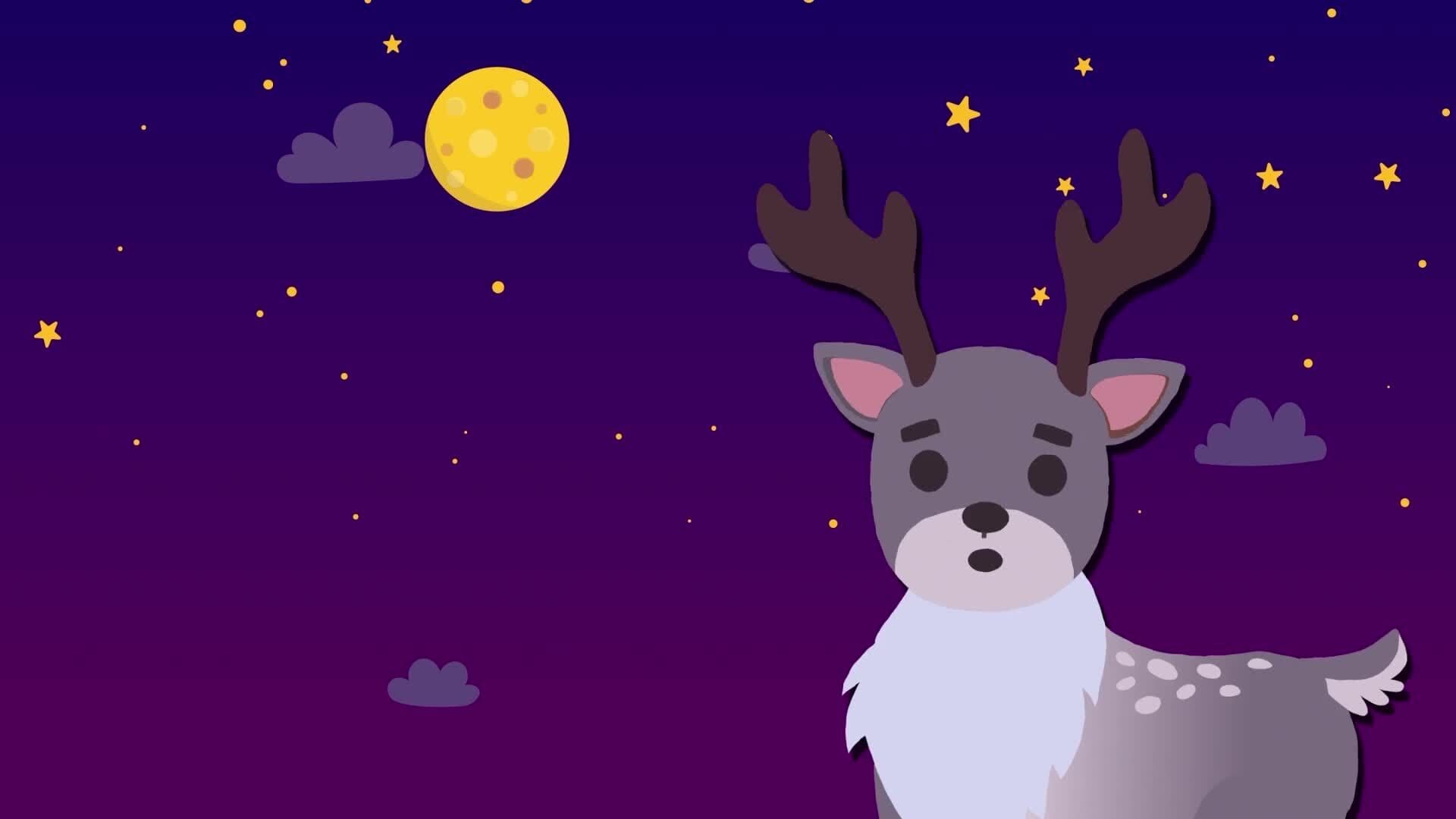 I WONDER - What Colour Are Reindeer's Eyes?