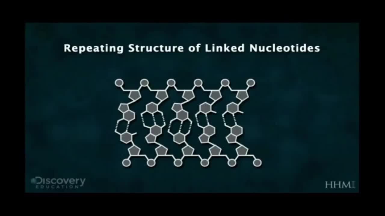 The Main Principles of Heredity: The Chemical Structure of DNA