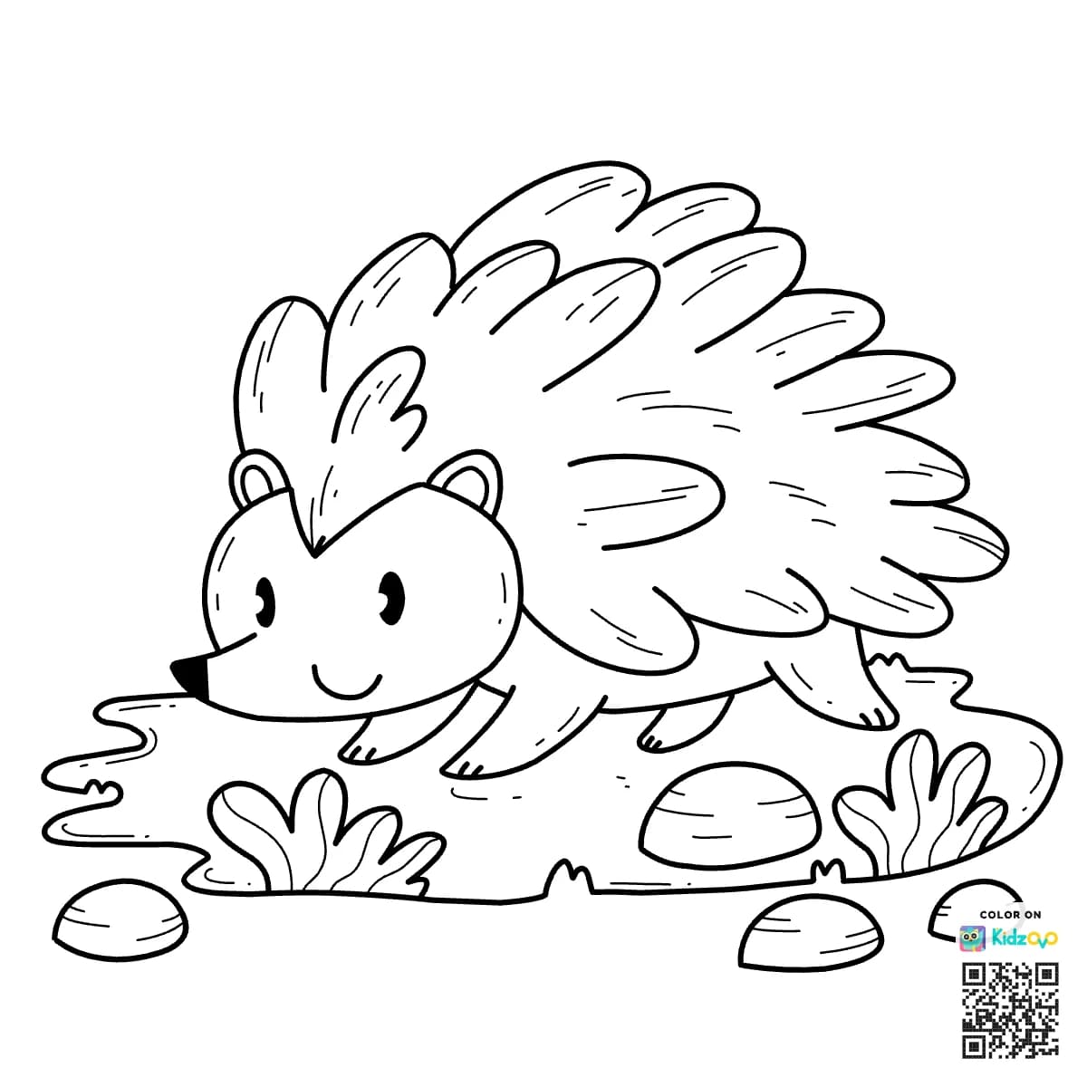 Hedgehog