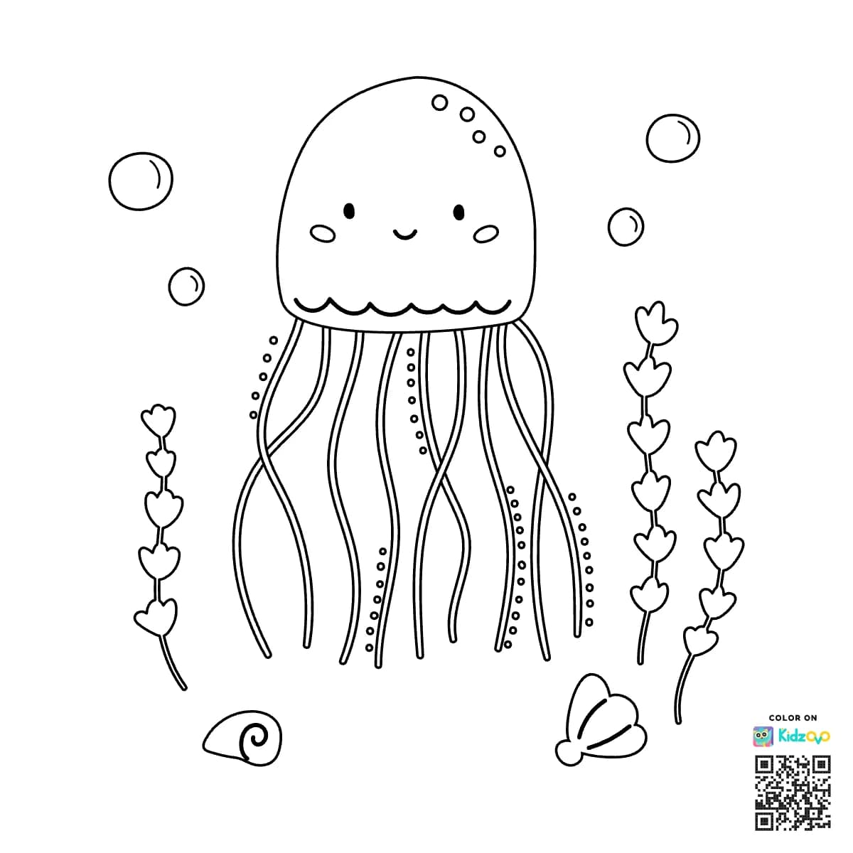Jellyfish