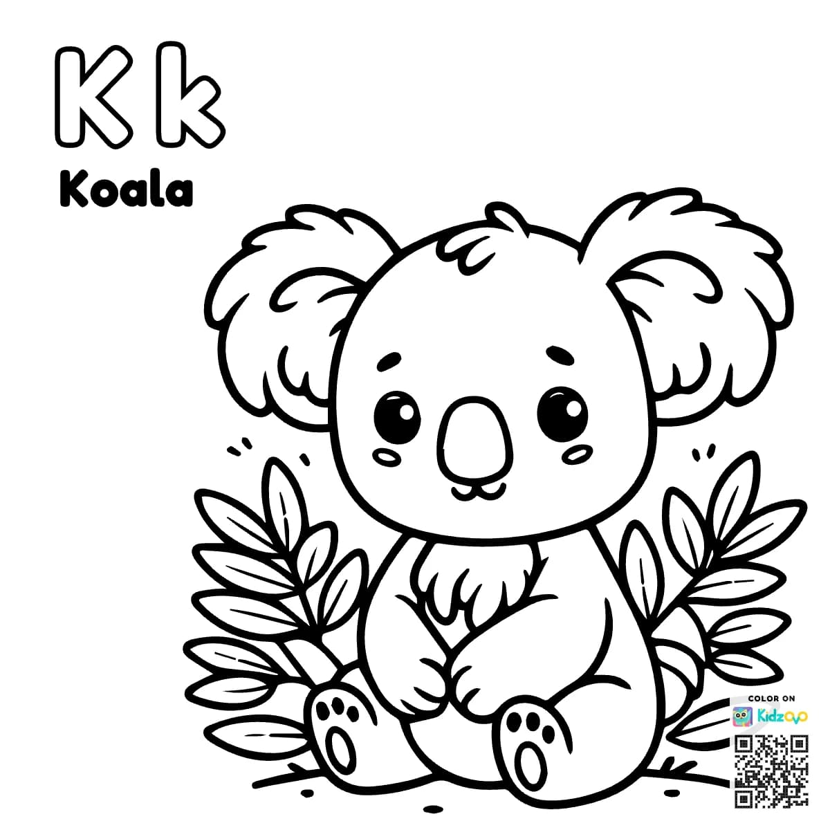 K for Koala