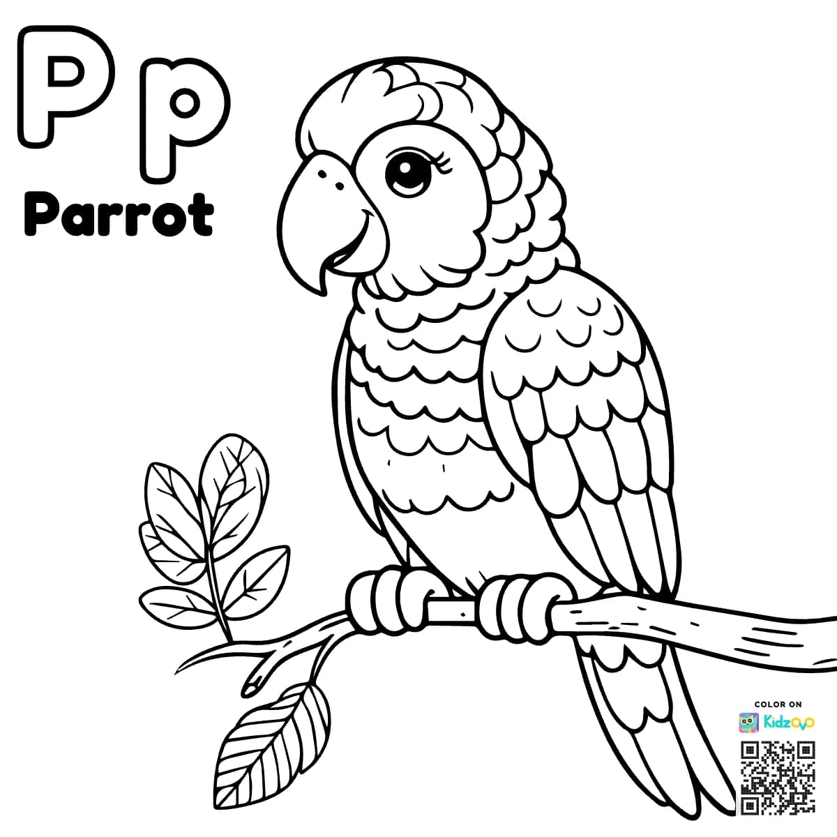 P for Parrot