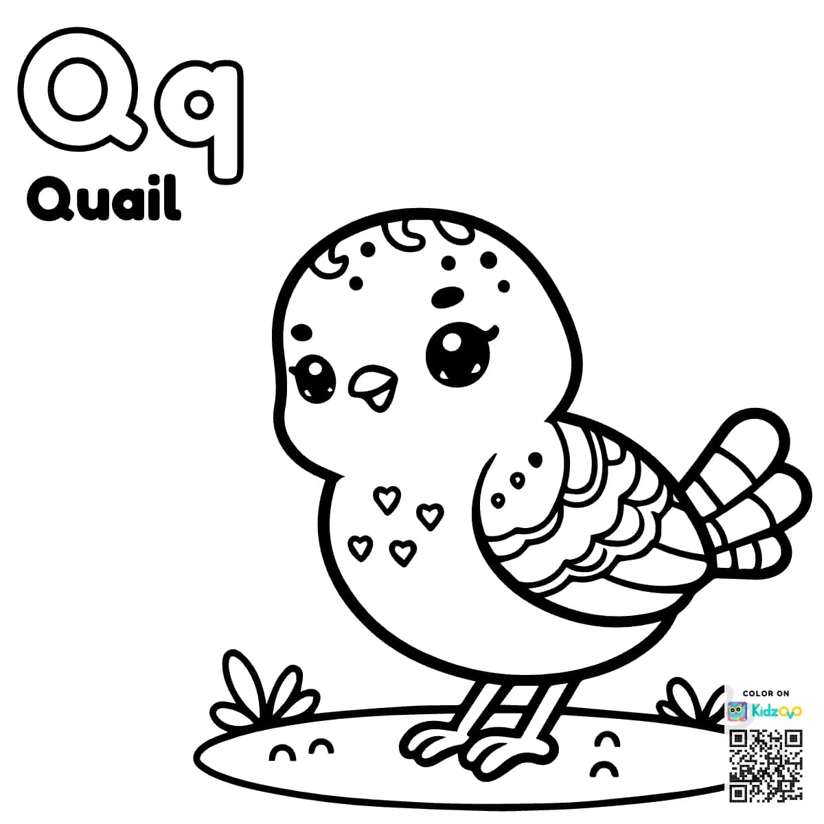 Q for Quail