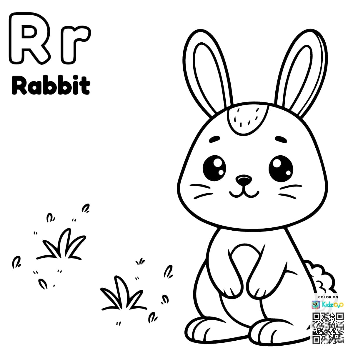 R for Rabbit