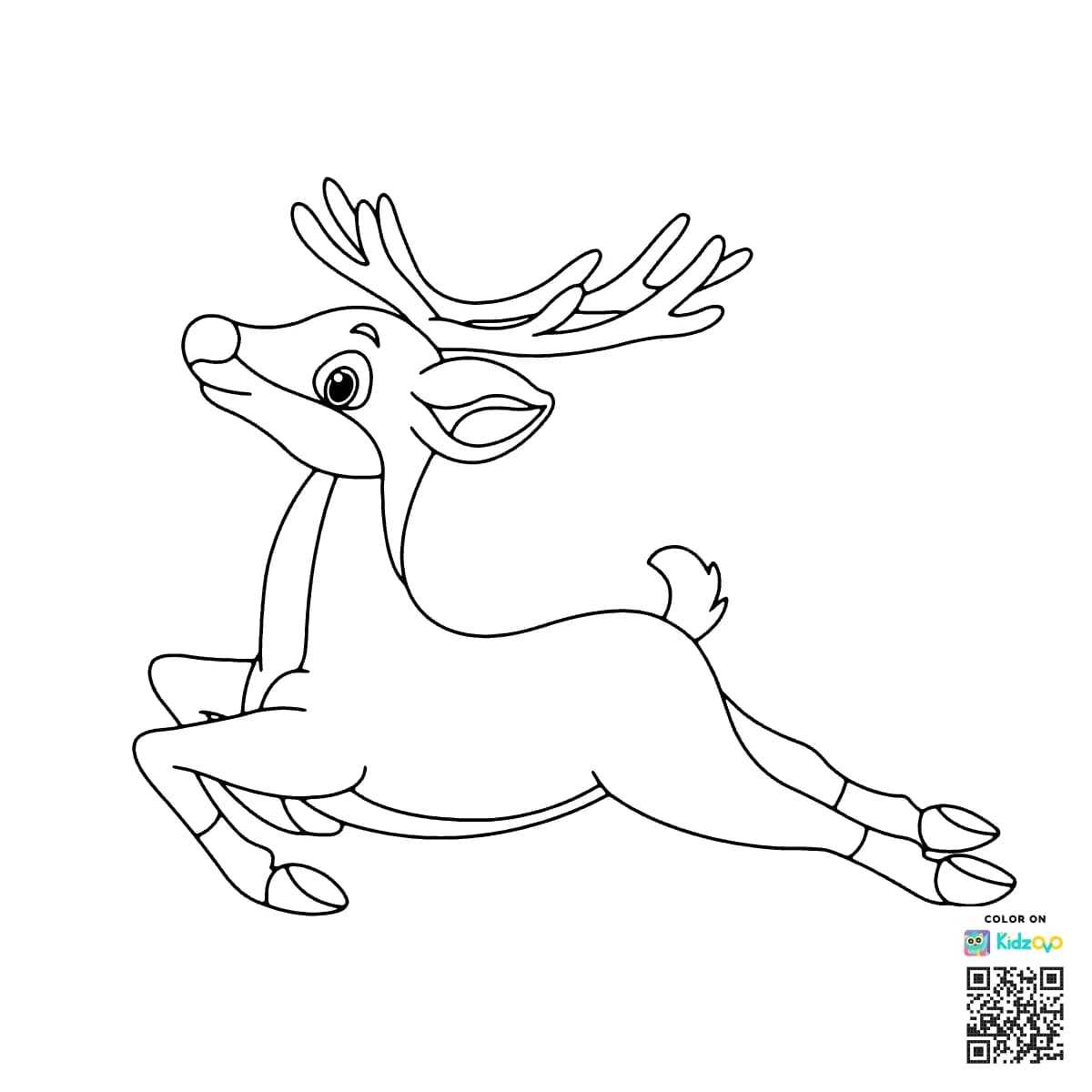 Reindeer