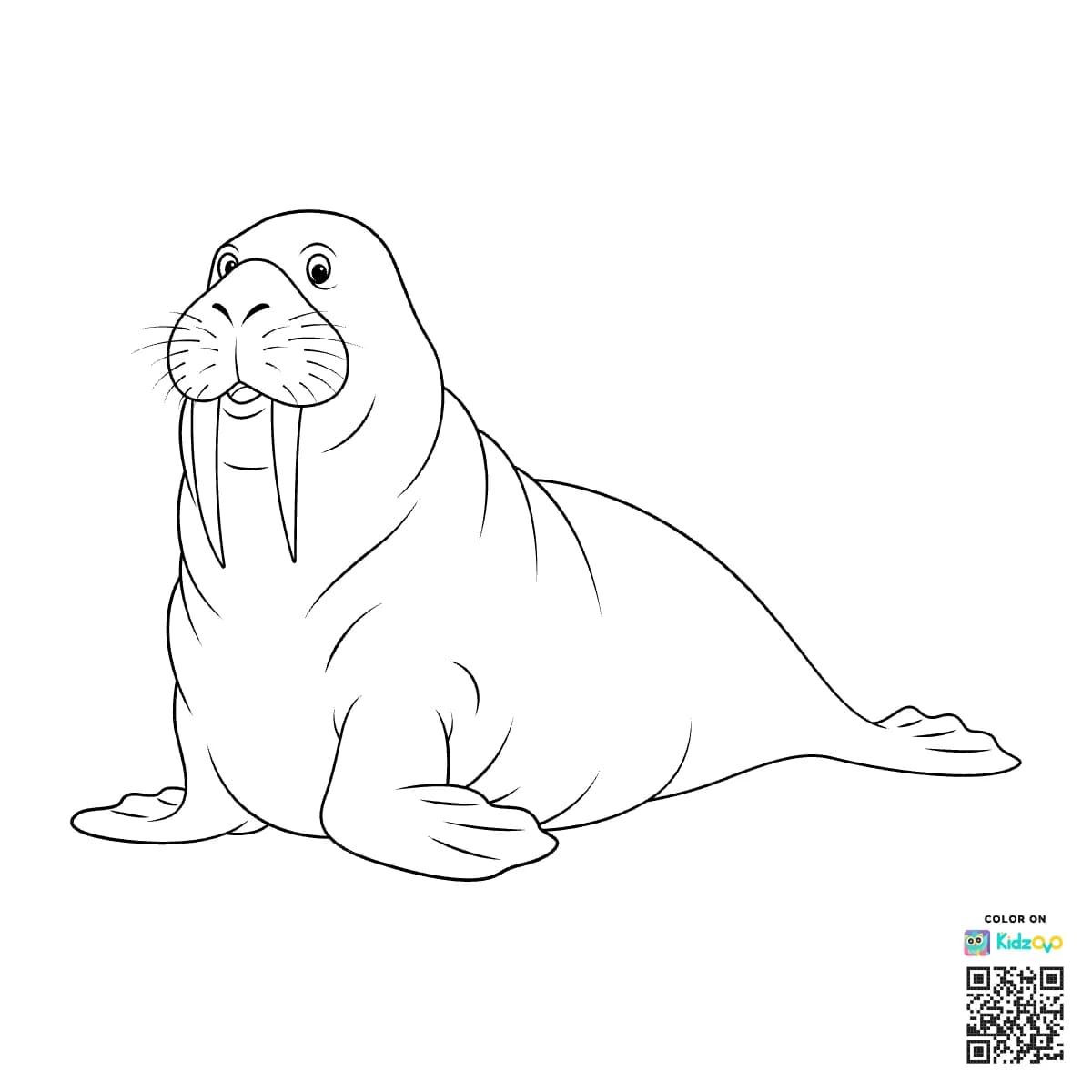 Walrus