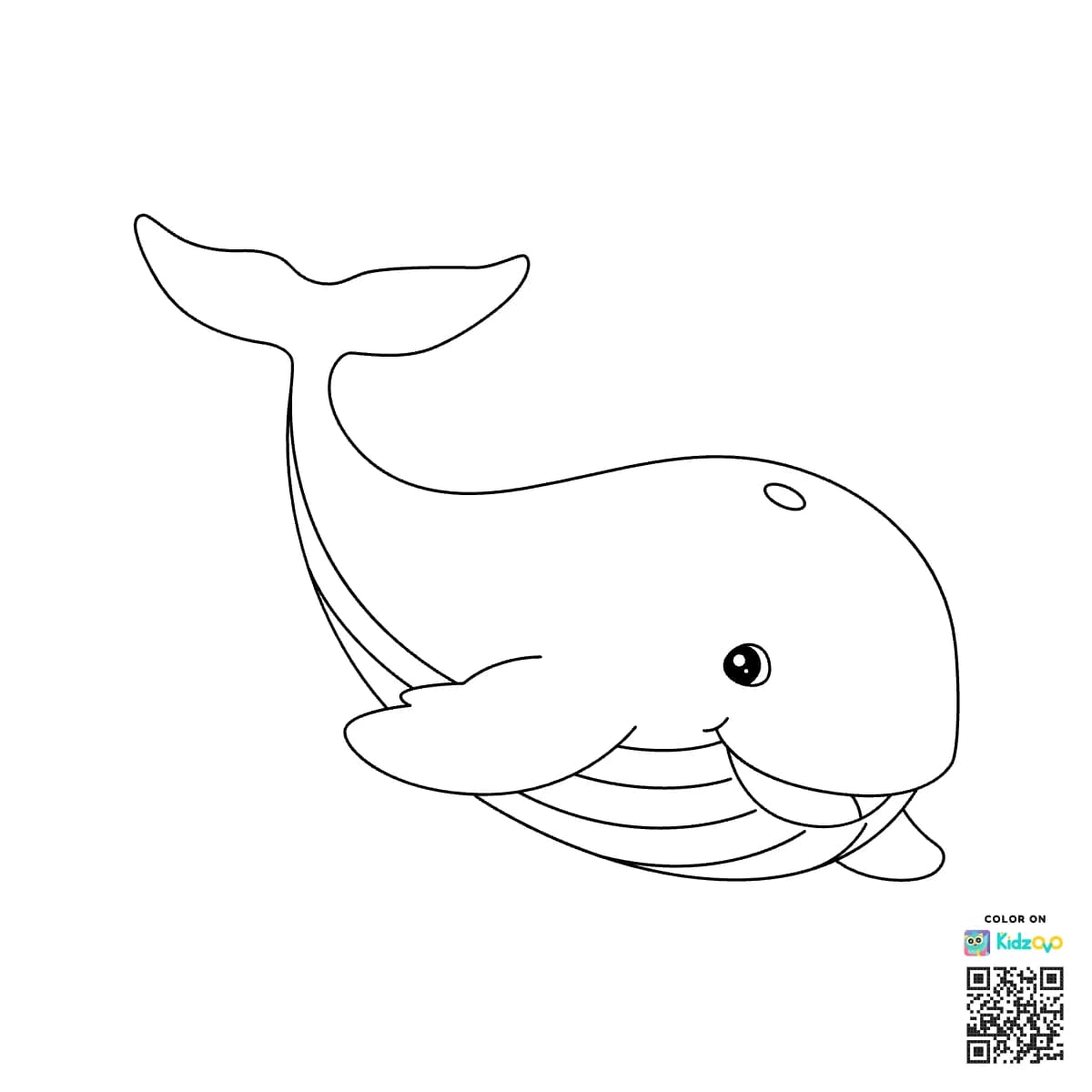 Whale