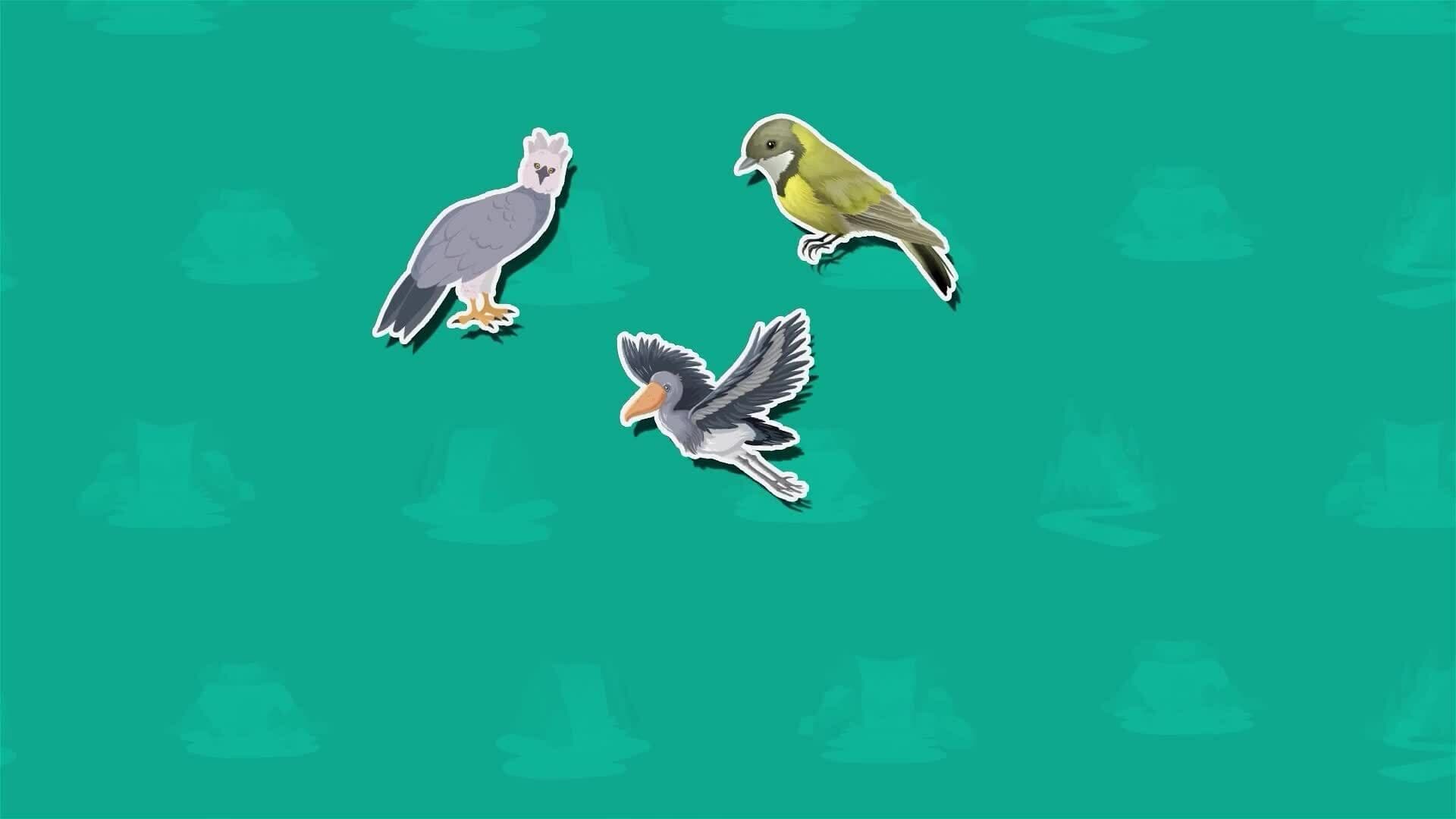 I WONDER - What Plants And Animals Live Near Angel Falls?