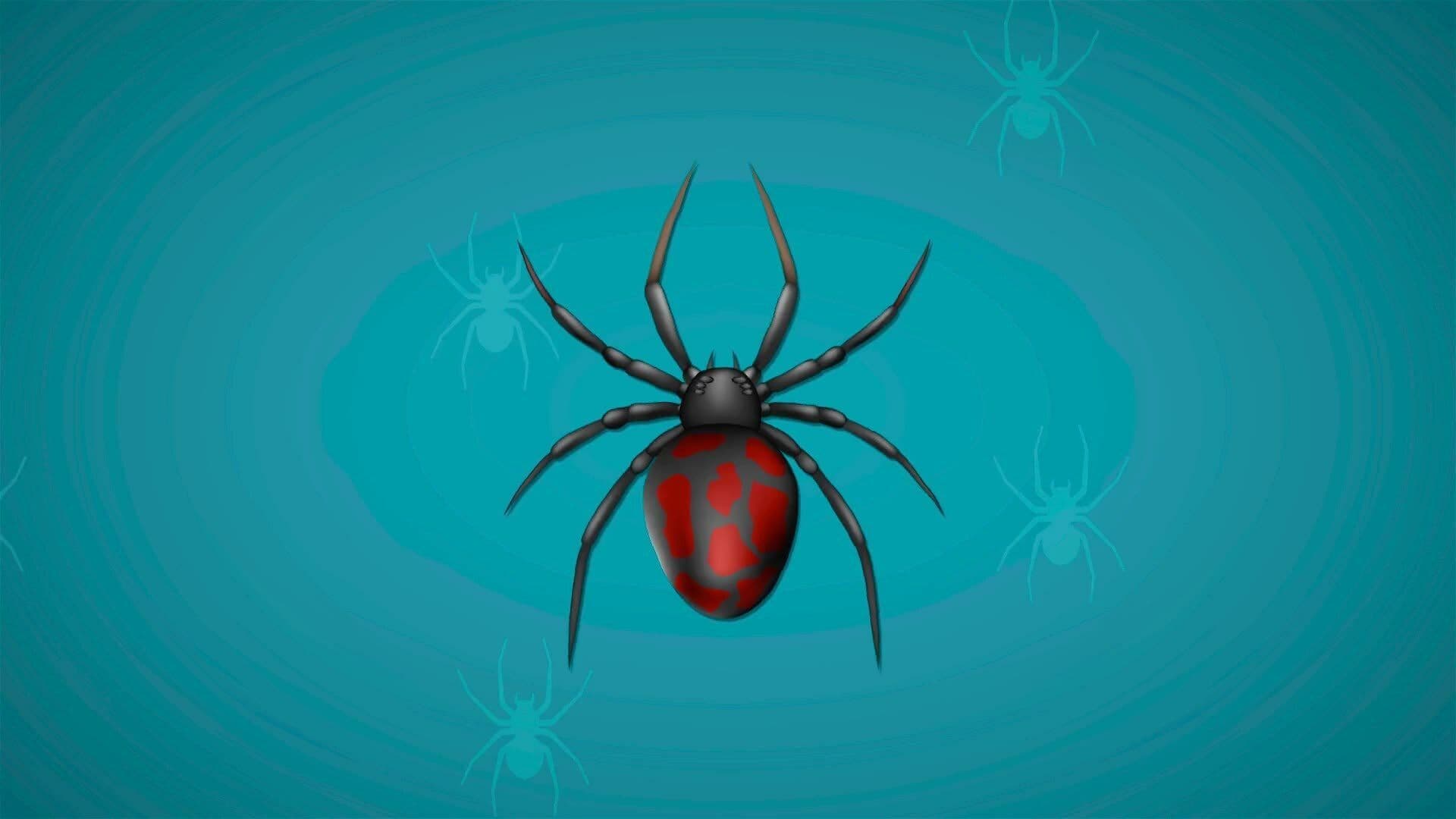 I WONDER - Is A Spider An Insect?