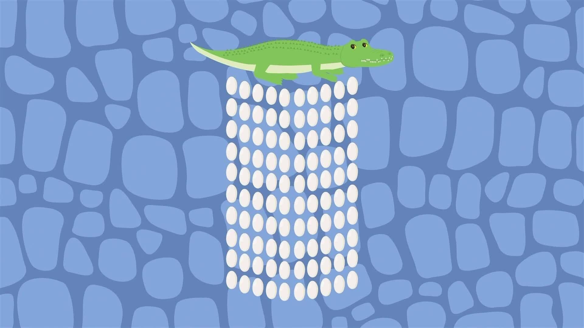 I WONDER - How Many Eggs Do Crocodiles Lay?
