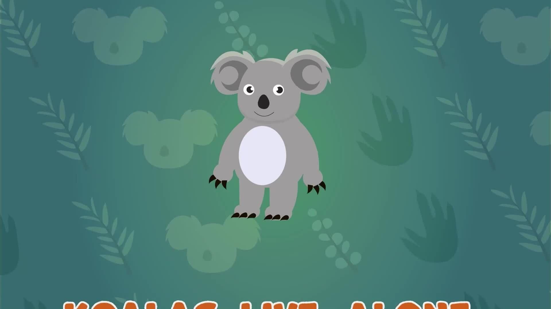 I WONDER - Do Koalas Live In Groups?