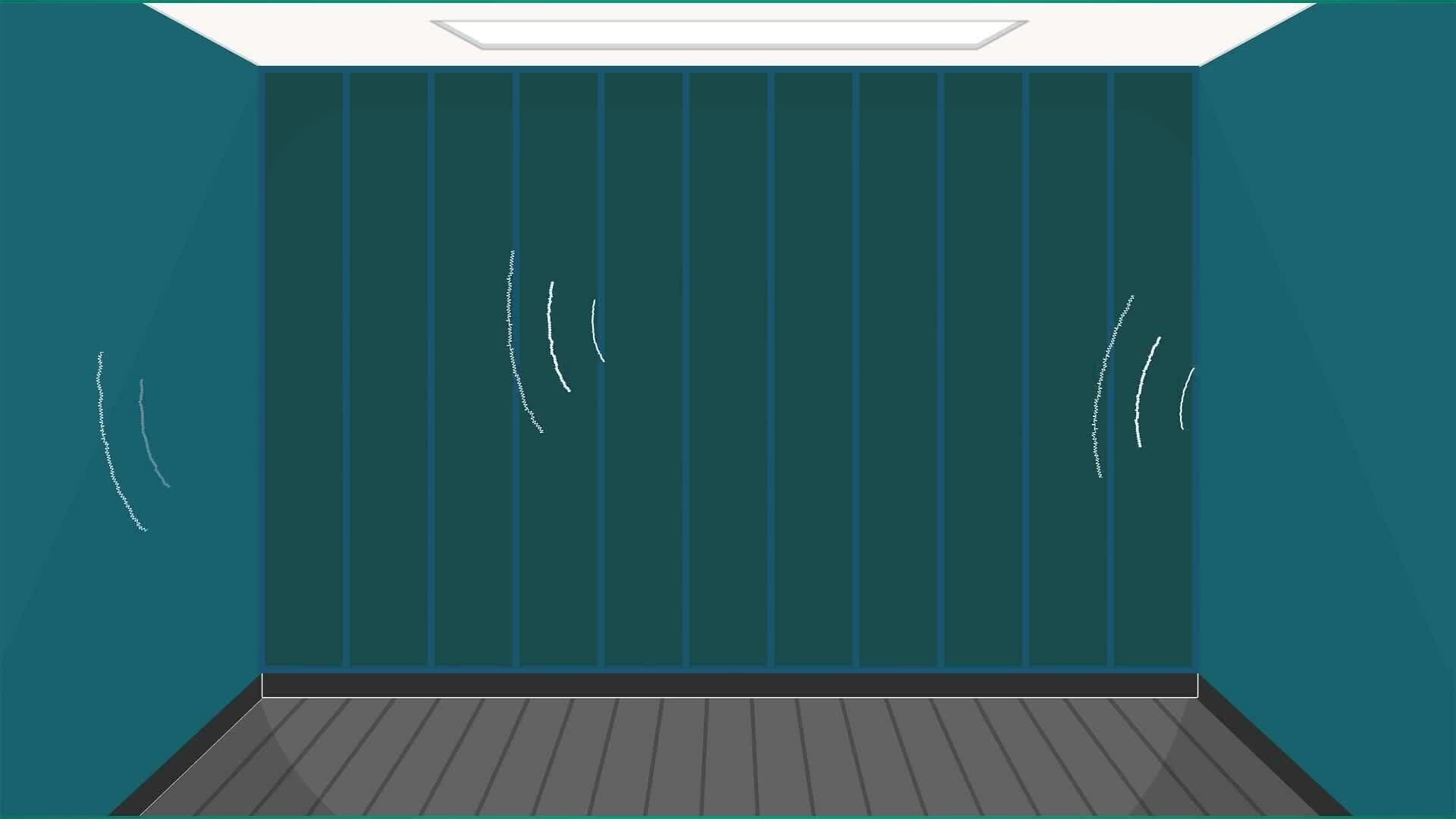 I WONDER - How Are Echoes Caused?