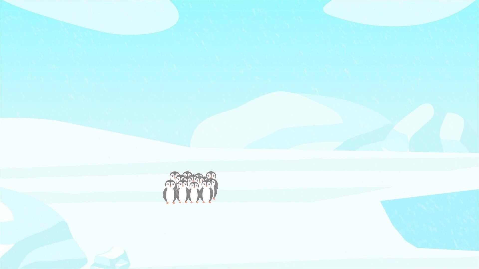 I WONDER - Do All Penguins Live In Cold Places?