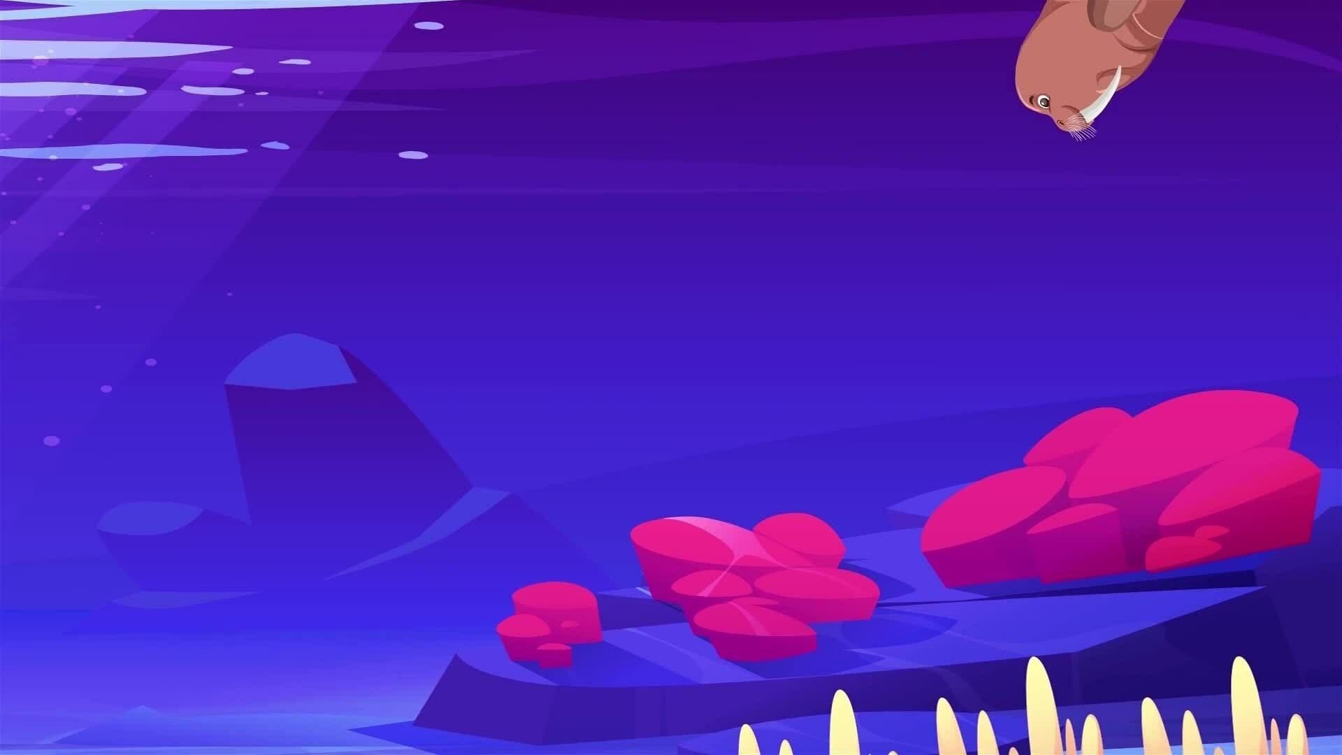 I WONDER - How Do Walruses Find Food?