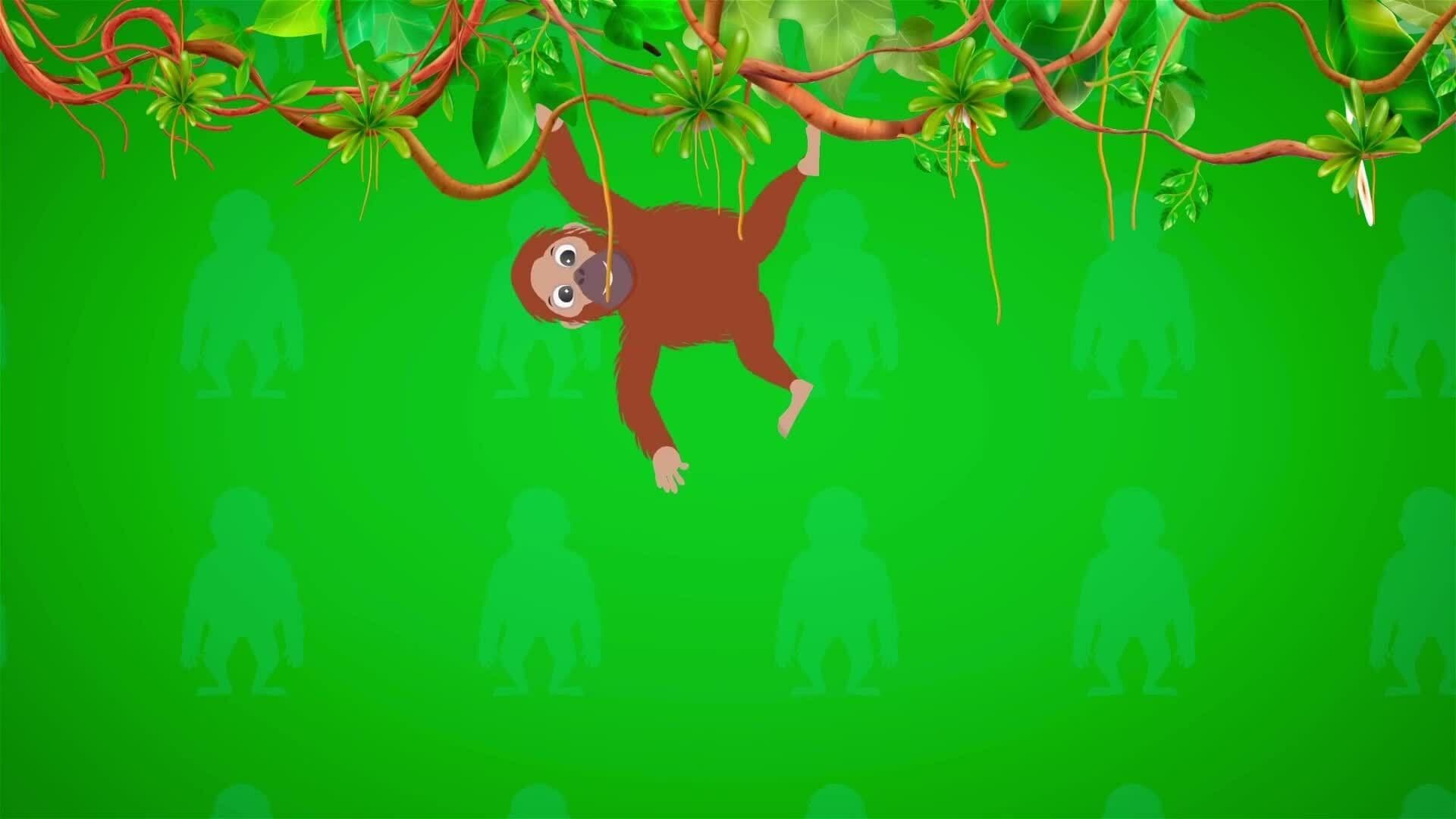 I WONDER - How Long Are Orangutan's Arms?