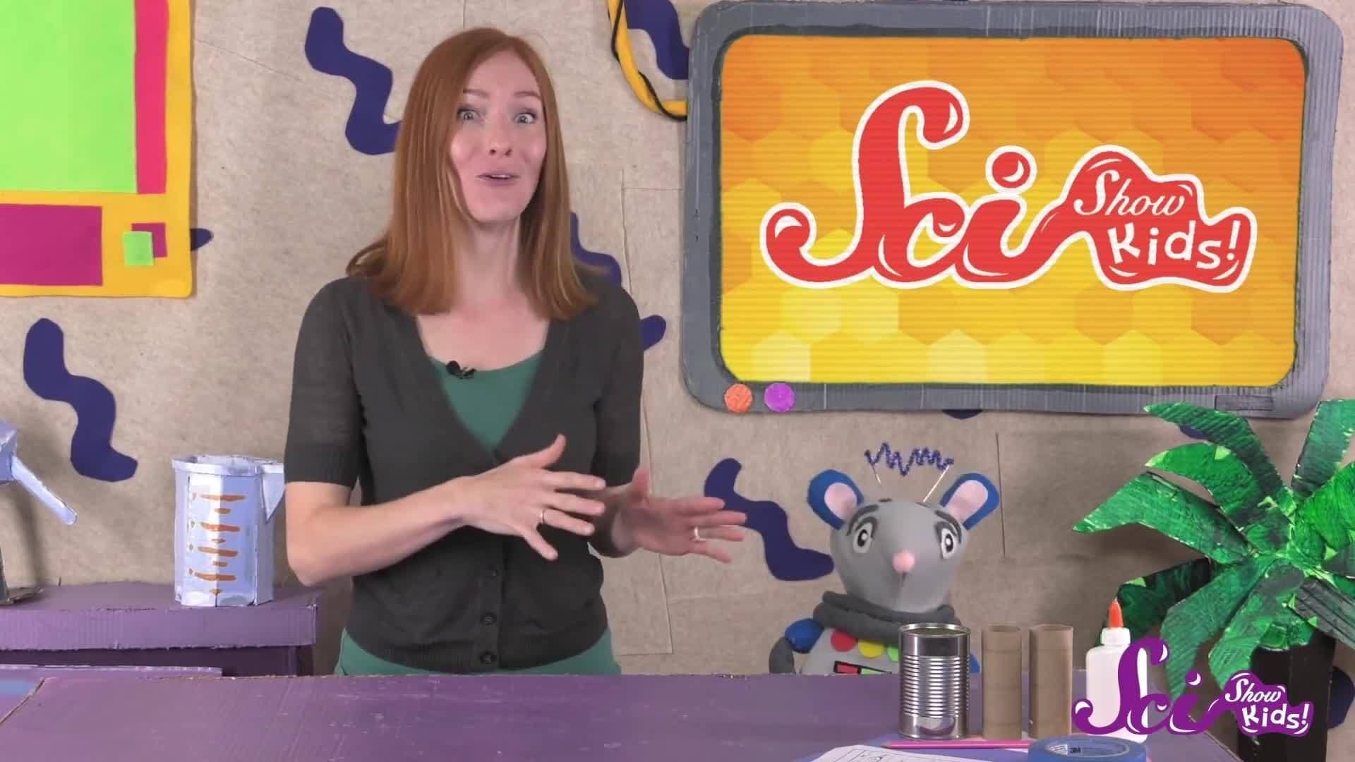 Build a Beehouse! Science Project for Kids