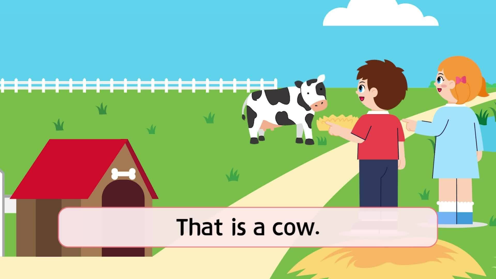 5. What is this/that?