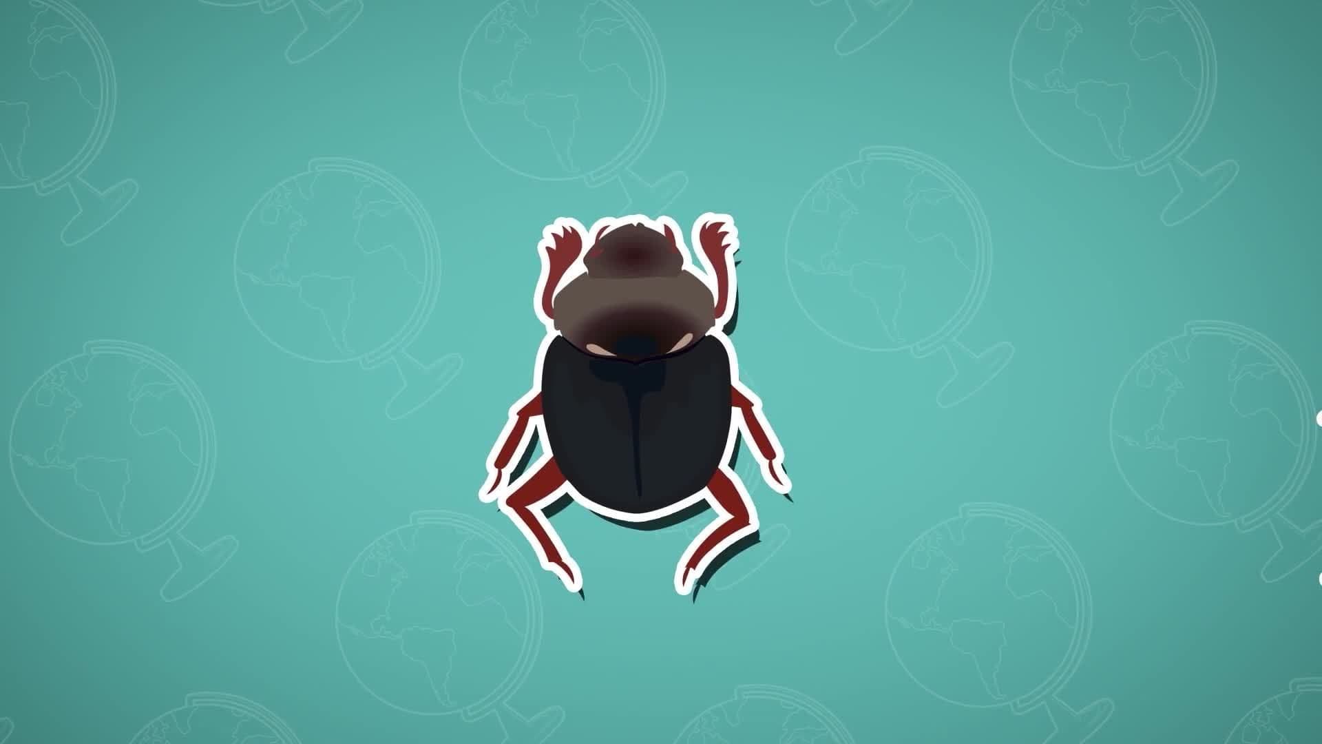 Five Facts - David Attenborough