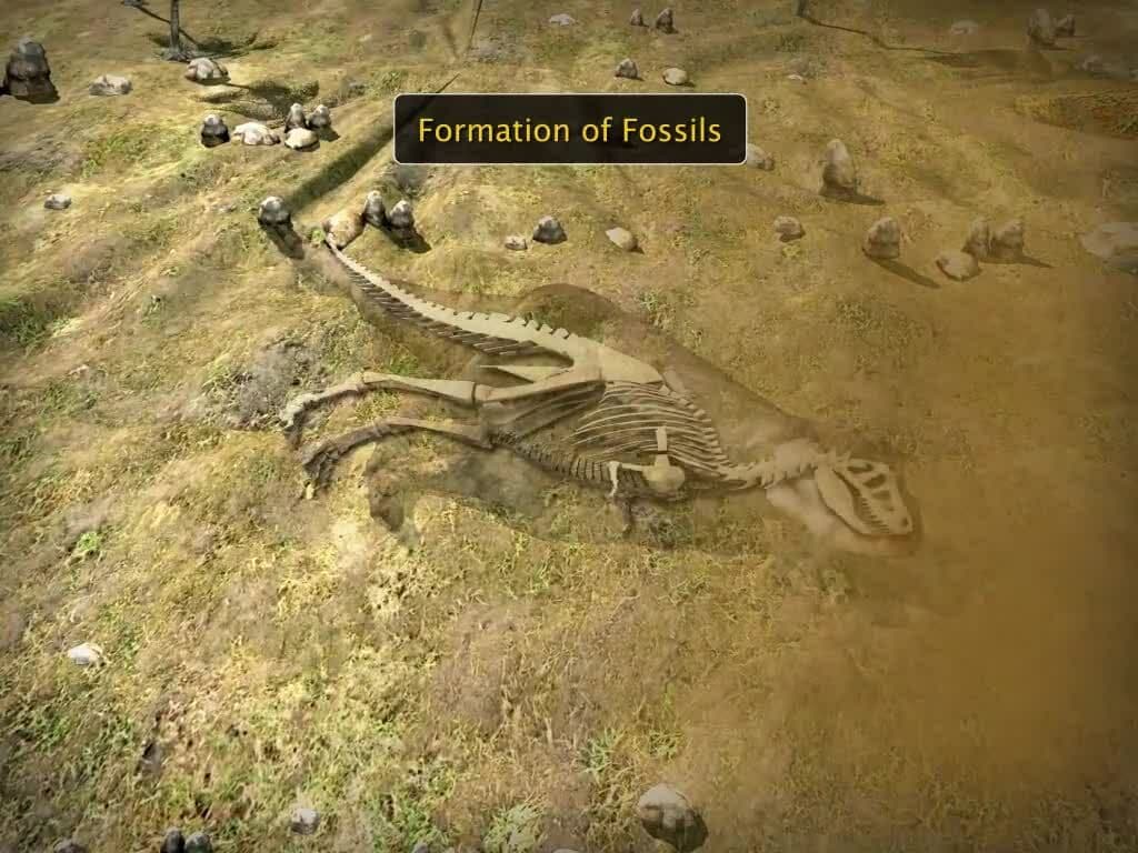 Evidences of Evolution