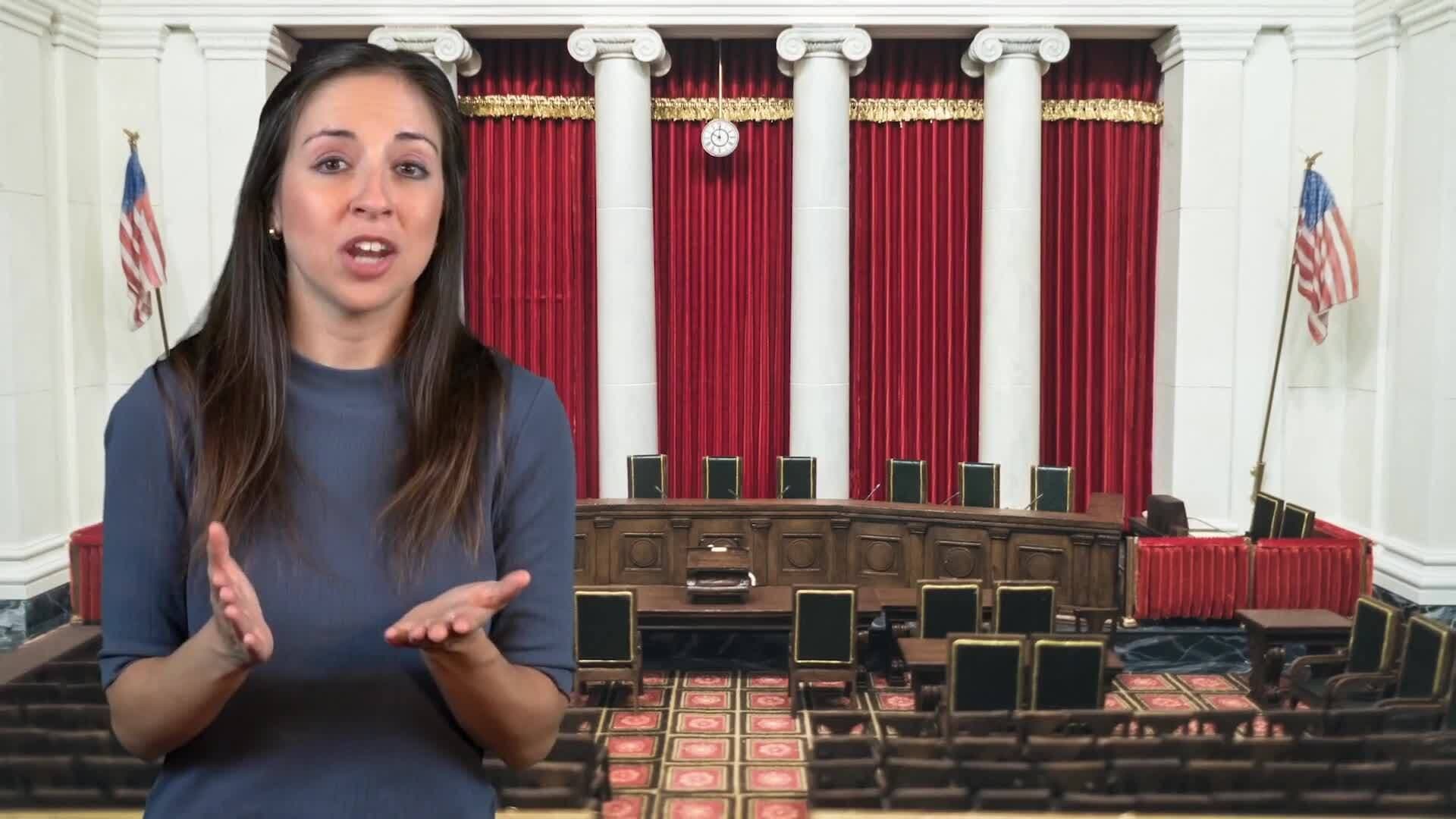 The Structure and Role of the Judicial Branch